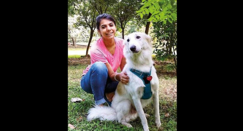 Dog coach has a high demand for 'Pandemic Pups'