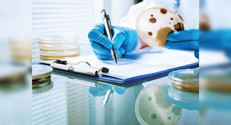 District Pune recorded 69 new cases of fungal infections