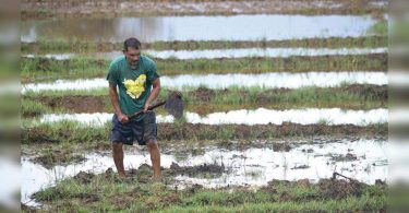 The rain continuously hampered agricultural activities throughout the cave