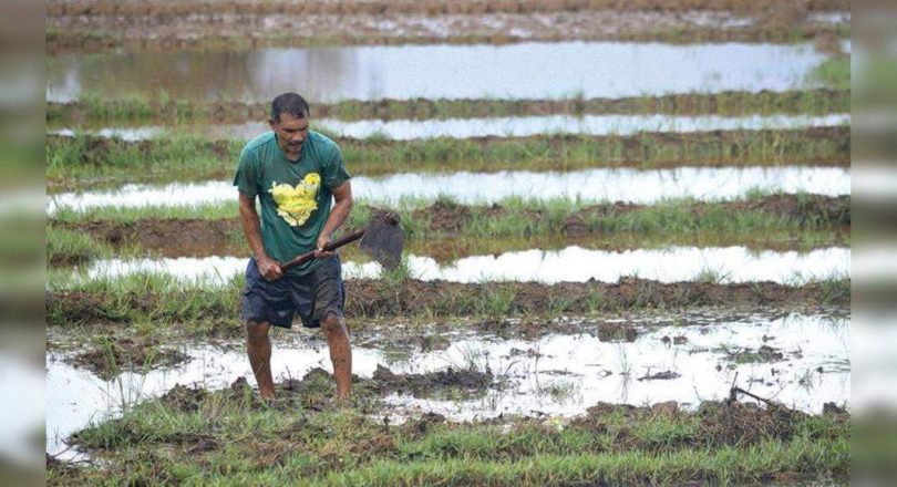 The rain continuously hampered agricultural activities throughout the cave