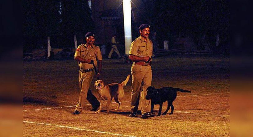 Four dog sniffers to help the cave police overcome medication