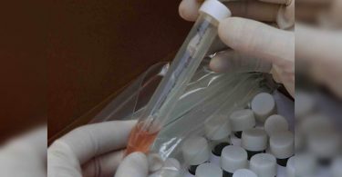 Normal New Affects Children's Hormonal Health: Doctor