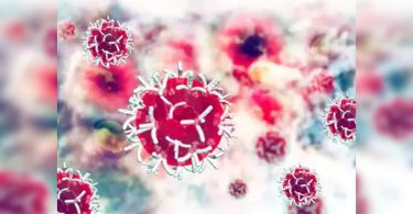 Vadodara: new drug carrier to reduce the toxicity of cancer drugs