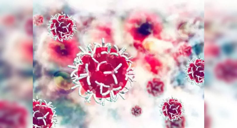 Vadodara: new drug carrier to reduce the toxicity of cancer drugs