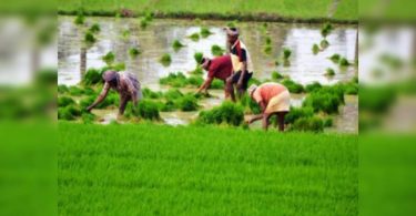 India to encourage the practice of tough climate agriculture as part of economic revival, supporting agricultural marketing in the northeast
