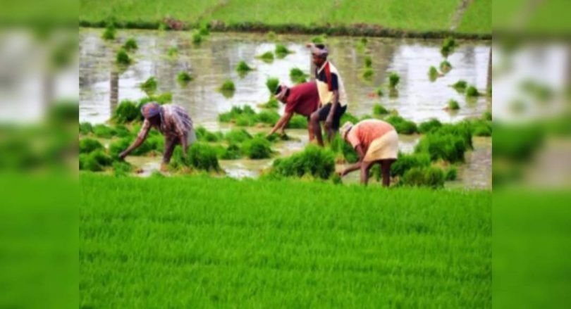 India to encourage the practice of tough climate agriculture as part of economic revival, supporting agricultural marketing in the northeast