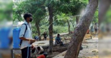 Thousands of trees to make their way for infra projects in Delhi