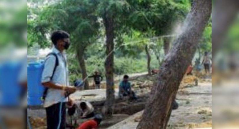 Thousands of trees to make their way for infra projects in Delhi