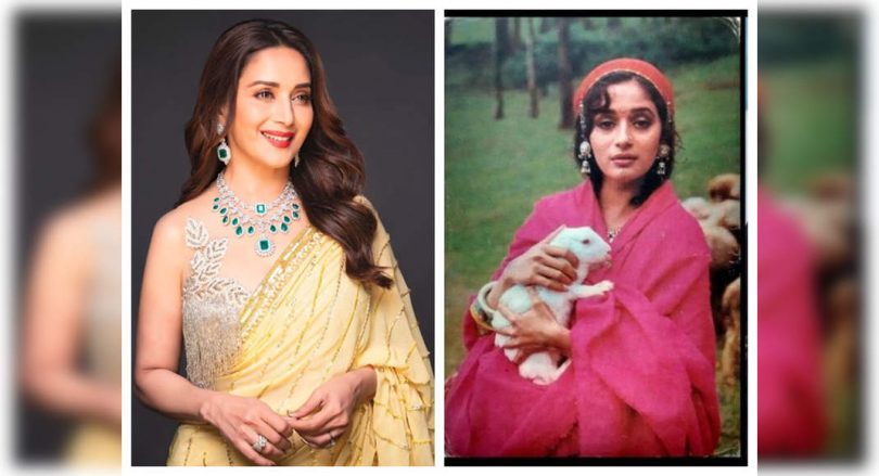 When Madhuri Dixit is bitten by rabbits