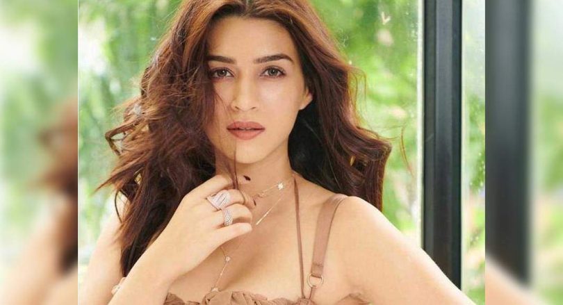 WFH Video Kriti Summarizes Work Life Pandemic