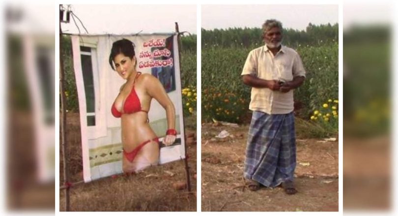 When Sunny Leone's poster used on a farm