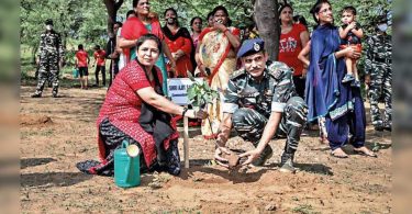 PEEPAL FOR EAST, AMLA FOR WEST: 193 Desa Set to get the 'Panchvati' tree