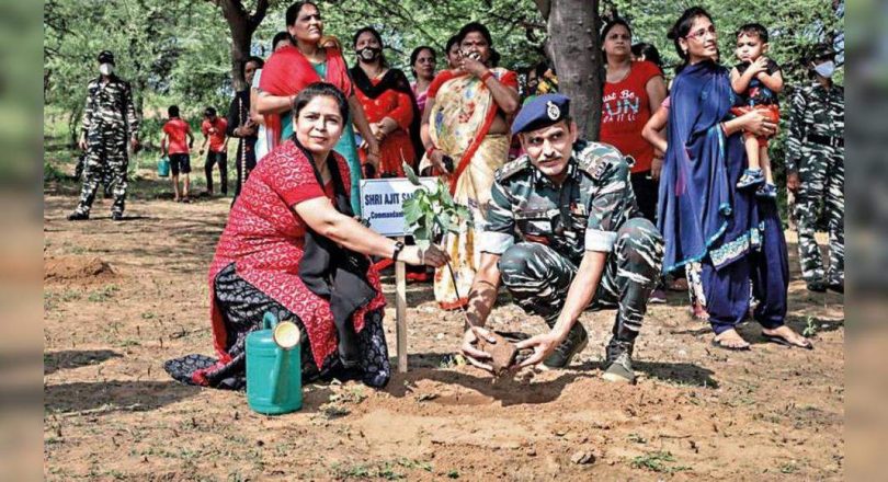 PEEPAL FOR EAST, AMLA FOR WEST: 193 Desa Set to get the 'Panchvati' tree