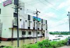 Damaged plants in the Haveri District; TB Dam fills up with full, people ask to be vigilant