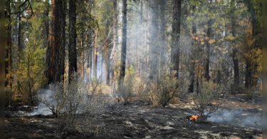 The key to the UN climate science calculation is open in the middle of the flood, fire