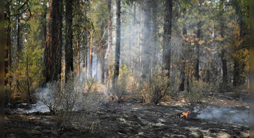 The key to the UN climate science calculation is open in the middle of the flood, fire