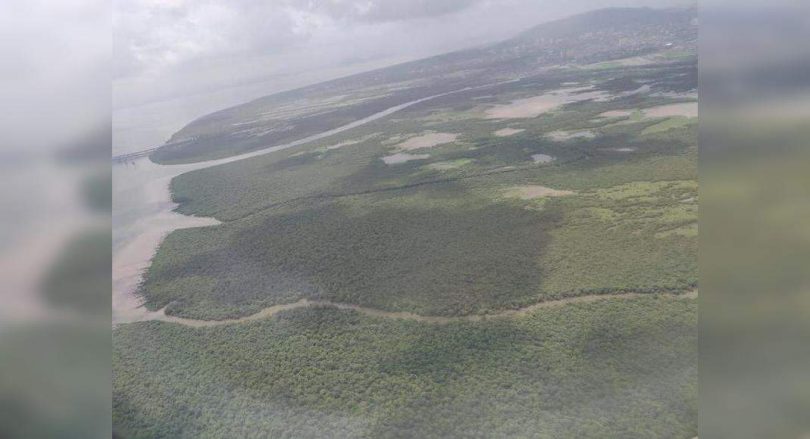 CidCo to submit 219 hectares to the forest department