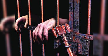 Bengaluru: Forester gets a one-year prison in a bribery case