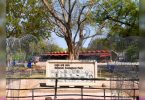 Delhi Zoo to Reopen From August 1
