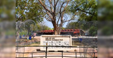 Delhi Zoo to Reopen From August 1