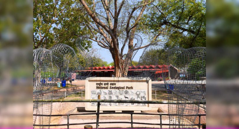 Delhi Zoo to Reopen From August 1