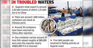 Mount Loss, Fish Exporters Adjust Virtual Stock Inspection by China