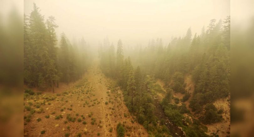 Wind prepared California's biggest fire as a Blazes Scorch West