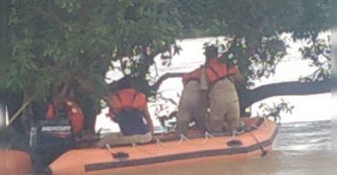 K'Taka: Monkeys trapped in trees because the Varada River swells