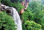 Telangana: Forester found a new waterfall in Asifabad