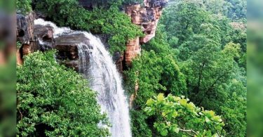 Telangana: Forester found a new waterfall in Asifabad