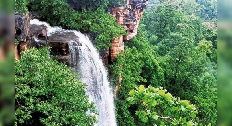 Telangana: Forester found a new waterfall in Asifabad