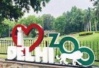 Delhi Zoo to be reopened from August 1, allow 3K visitors per day