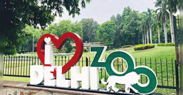 Delhi Zoo to be reopened from August 1, allow 3K visitors per day