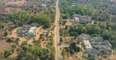 Gorewada rescue center that layered plated to get 20 new cages for big cats