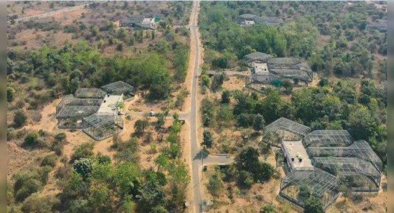 Gorewada rescue center that layered plated to get 20 new cages for big cats