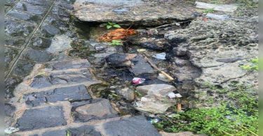 Nagpur: Cracks, leaked in many places in the Ambazari Lake Embankment