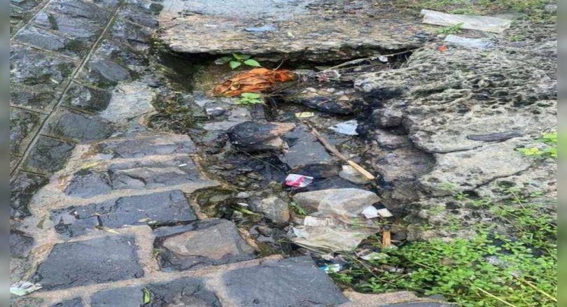 Nagpur: Cracks, leaked in many places in the Ambazari Lake Embankment