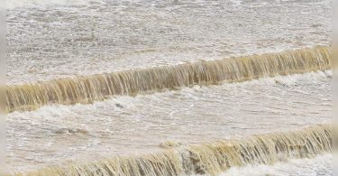 BEED DAM SIBER Razed in the middle of the opposition