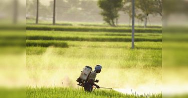 For the mass production of Nano Urea, IFFCO signed the MoU with two government companies