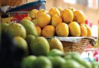 The state began processing to get a geographical indication tag for three types of Mango Goan