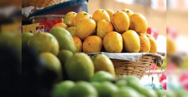 The state began processing to get a geographical indication tag for three types of Mango Goan
