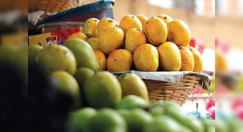 The state began processing to get a geographical indication tag for three types of Mango Goan