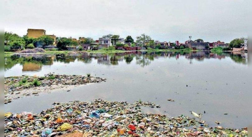 Rani Khera was alert to dipping her legs on land land