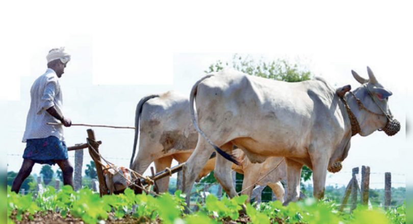 Dip suicide level of Telangana farmers, the lowest in the country