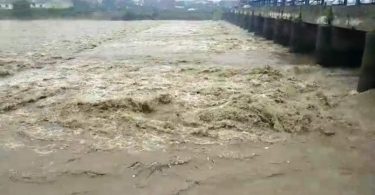 Haryana: Yamuna's water level rises after heavy rain in the catchment area