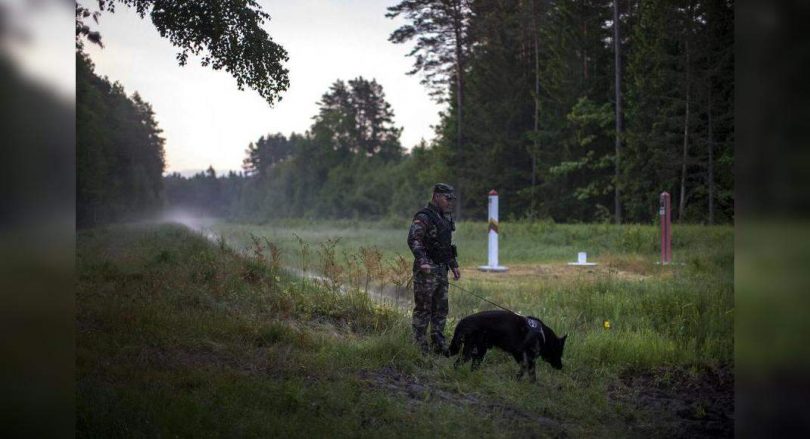 Illegal border intersection to Lithuania passes 3,000