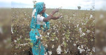 Complaints registered in Amravati Against Crop Insurance Co