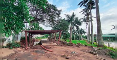 HubbalLi: Toy Train Will Entertain Visitors at Mg Park Immediately