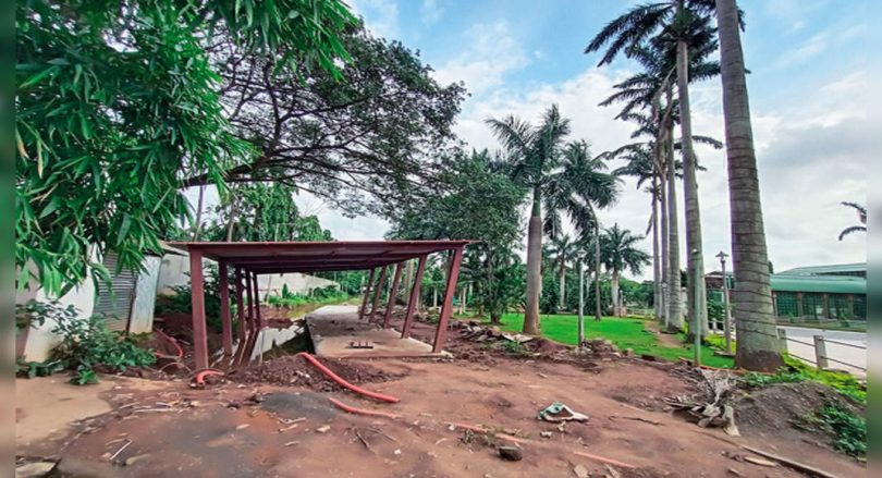 HubbalLi: Toy Train Will Entertain Visitors at Mg Park Immediately