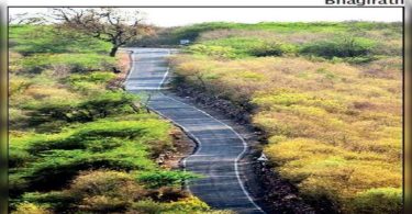 Raj to open two safari routes in Nahargarh Sanctuary